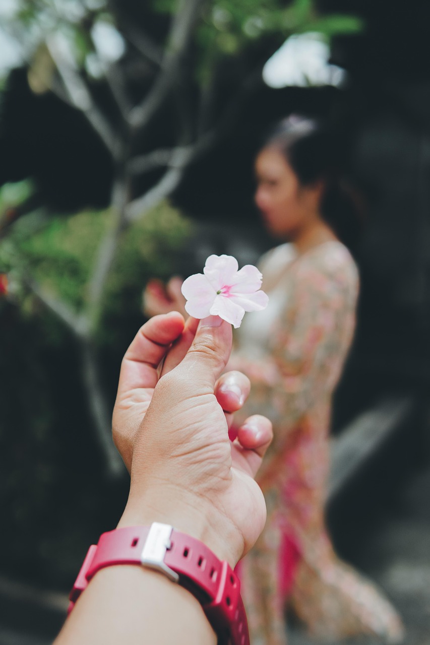 青春校园爱情电视剧大全，情感故事的绽放